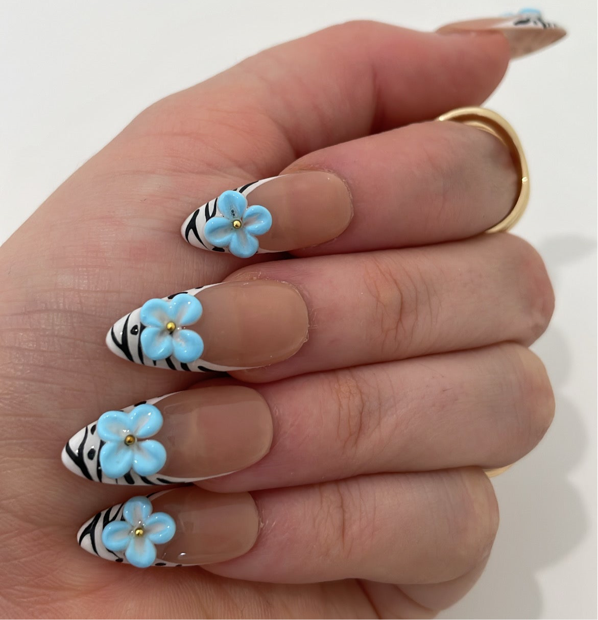 Zebra Vacation Set
